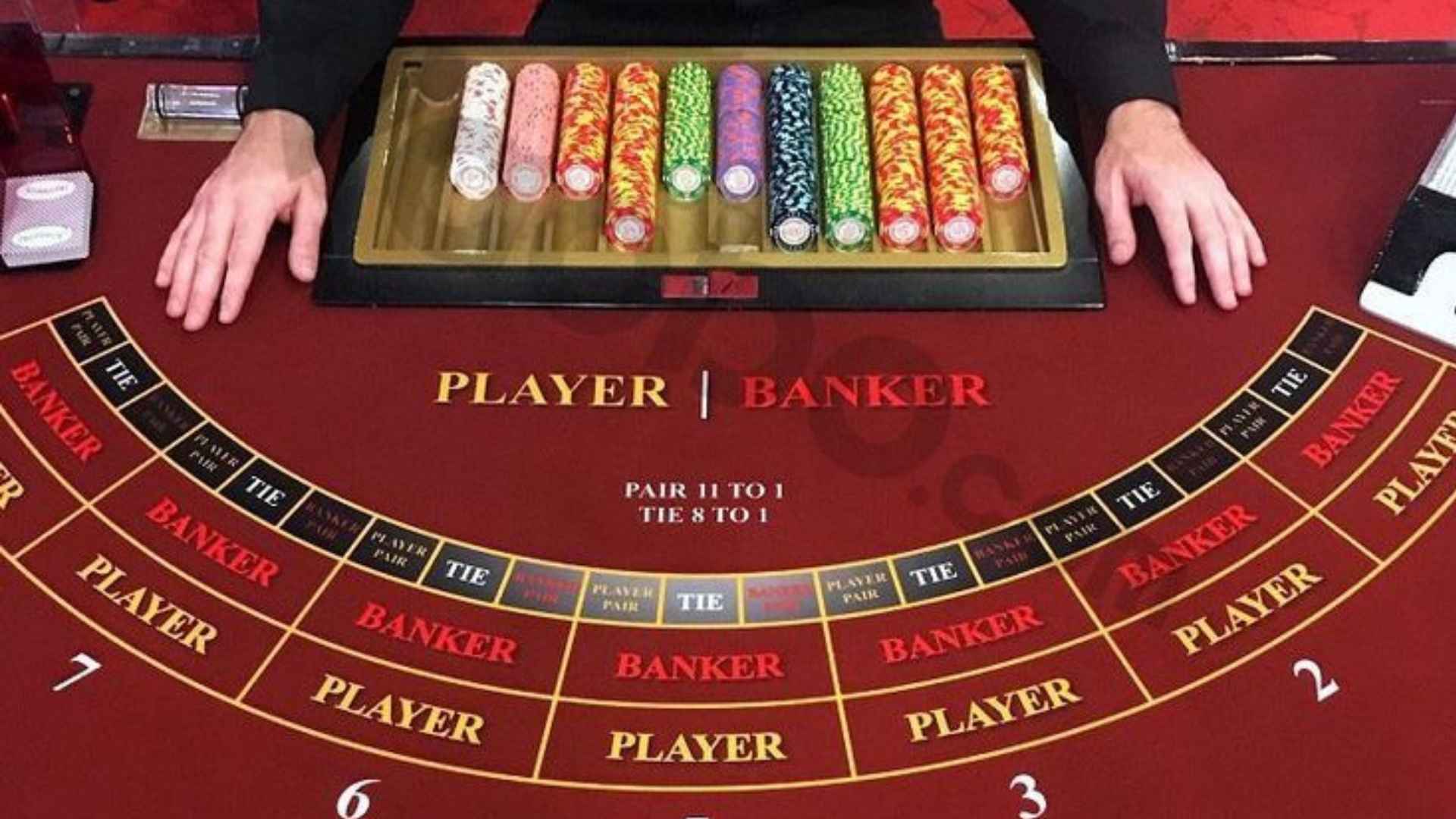 How Winning Players Approach Dominoes Differently